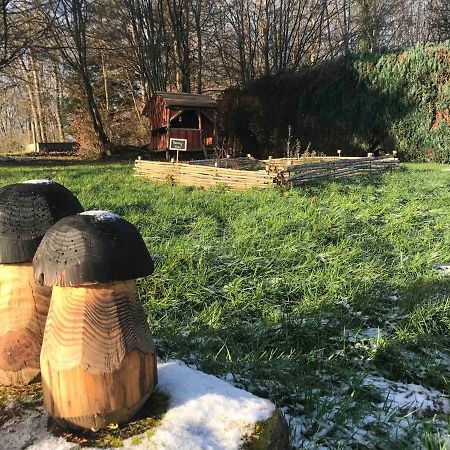 Gite Amelie, Sauna, Spa Au Coeur Des Vosges Housseras المظهر الخارجي الصورة
